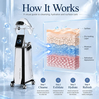 Appareil HydraFacial Portable Aqua Vertical 9-en-1 pour Nettoyage en Profondeur, Dermabrasion et Oxygénation des Pores