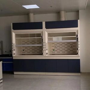 <span class=keywords><strong>Campana</strong></span> de Extracción de Humos de Acero con Certificación CE <span class=keywords><strong>para</strong></span> Laboratorio de PCR, Extractor Químico sin Ductos, Diseño Estacionario, Extracción Ajustable - Product Image 3