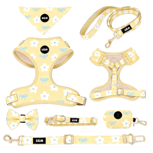 Nuovo Design <span class=keywords><strong>2026</strong></span>: Set di Guinzaglio, Collare e Pettorina in Neoprene per Cani, Personalizzabile con Logo, Senza Strappi, per Addestramento - Product Image 3
