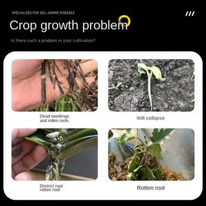 Source Factory Purificación rápida de raíces Fertilizante de flores Inhibidor de pudrición de raíces Base de raíces podridas Remedio Sellador de enfermedades del suelo - Product Image 3