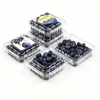 Herbruikbare PET transparante plastic doos voor blauwe bessen, geventileerde clamshell voor vers fruit, aardbeien, frambozen, groothandelsverpakking