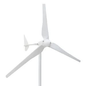 ESG CE قوي الطاقة 2000W الرياح مولد تربيني 48V 96V 120V 220V الجهد 2KW طاحونة توربينات الرياح دينامو