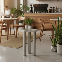 Table d'appoint ronde en acier inoxydable moderne et minimaliste KOYA C280 pour salon, maison, café, bureau