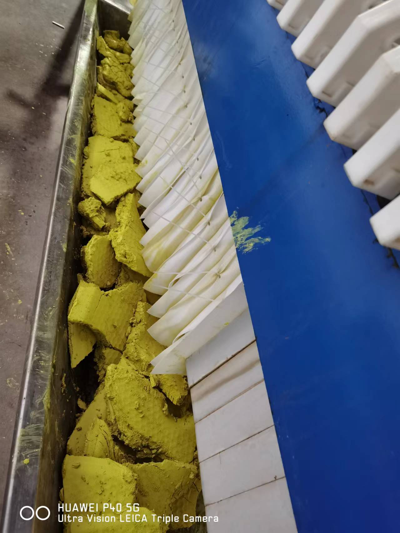 عصاره خالص Sophora Japonica 95% پودر روتین CAS 153-18-4 5