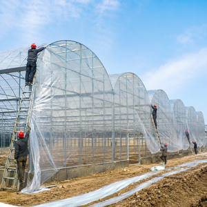 Serre multi-travées en film PE avec système de <span class=keywords><strong>gouttières</strong></span> intégré pour la production hydroponique de légumes et de fleurs - Product Image 5