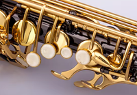 Factory Price Black Nickel Body Gold Lacquer Keys Alto Saxophone