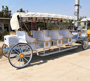 Carruaje Clásico de Princesa Real/Carruaje de Cenicienta para Bodas/Carro Eléctrico de Turismo Extendido en Venta - Product Image 4