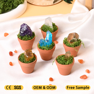 Nouveau Produit : Cadeaux de spécimens minéraux naturels, pierres brutes de cristal, roches de bonsaï pour la guérison et la décoration - Product Image 1