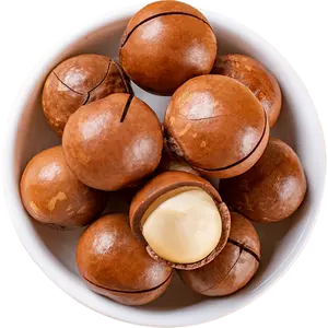 Roasted and Raw Macadamia Nuts in Shell from Yunnan,China Competitive Price Origin Type