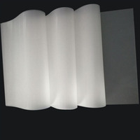 Papel de transferencia térmica A3 DTF para transferencia de mascotas, hojas de pretratamiento transparentes y brillantes para camisetas DYI Direct, mono, calcetines y bolsas textiles