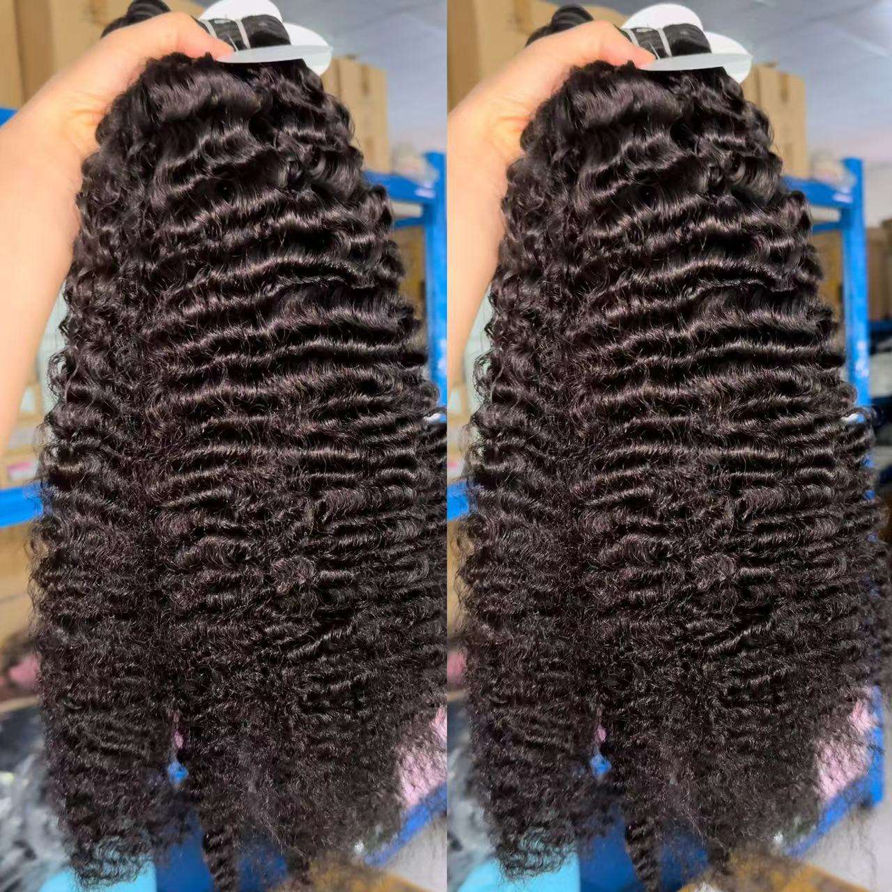 bambú rizado rizado