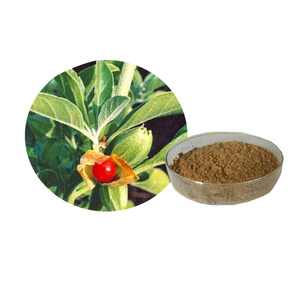 Withania <span class=keywords><strong>somnifera</strong></span> chiết xuất 5% withanolides Ashwagandha Ayurvedic chiết xuất powder20: 1 - Product Image 1