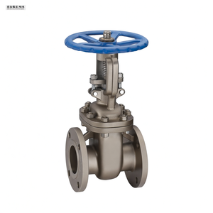 Válvula de Compuerta de Acero Inoxidable Estándar ANSI JIS DIN GB de Pedido Urgente COVNA, Válvula de Compuerta de Hierro Fundido - Product Image 2