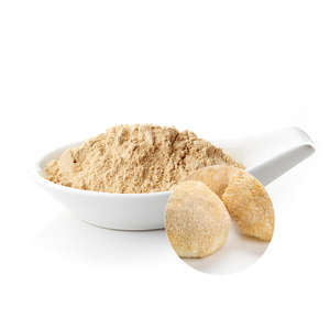 El polvo de extracto de Hericium Erinaceus antioxidante de alta calidad promueve la digestión para adultos, no para adolescentes o mujeres embarazadas - Product Image 2