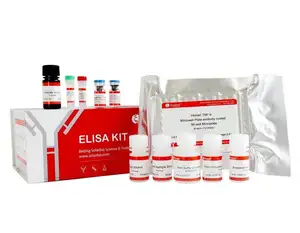 Scientific Solarbio High Quality Mouse IFN Alpha Elisa Kit For Scientific Research