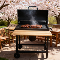 Barbecue portable pliable, Table de barbecue coréen professionnelle, Gril Kamadi, Gril Parrilla, Gril BBQ argentin, Machine à griller