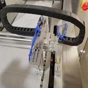 DPB-420 Écouvillon/Masque Facial/Seringue D'<span class=keywords><strong>injection</strong></span> D'aiguille s Machine à Emballer de Boursouflure - Product Image 3