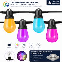 WS2814A RGB Lampu Pixel String Light APP Pengubah Warna Impian untuk Liburan, Pernikahan, Pesta, Dekorasi Luar Ruangan, Grosir Rantai Lampu
