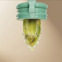 Nieuwe siliconen bijtring-speen voor baby's, fruit- en groentevoeder met cartoonontwerp