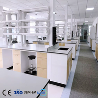 Table de laboratoire de chimie physique de l'université Mobilier de laboratoire personnalisé Banc de travail en acier inoxydable avec tiroirs