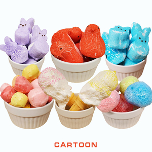 China Freeze Dry Factory Wholesale High Quality Bulk Freeze Dried Gummy Chewy <strong>Candy</strong> Marshmallow and Freeze Dried Chocolate - Product Image 6