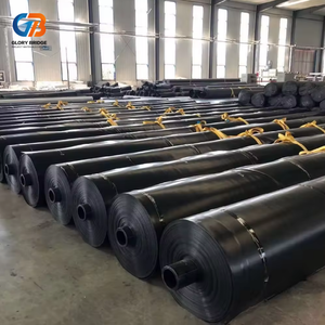 Géomembrane HDPE 2 mm pour dépon, revêtement de bassin, lac artificiel, dépon, ferme piscicole, revêtement de barrage - Product Image 5