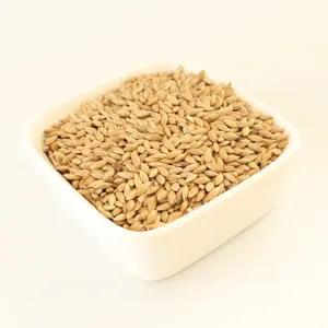 Canary Seed For Bird Feed