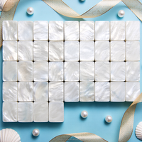 Tuiles de Mahjong Américaines Blanc Perle en Acrylique, Ensemble de 160 Pièces, 10 Tapis, 13 Sacs Brodés, Jeu Classique Portable pour un Cadeau Élégant