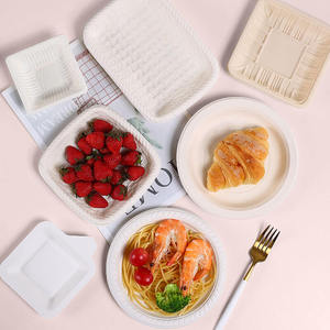 Food Divider Plate Dinner Plates With Lids Eco Ware