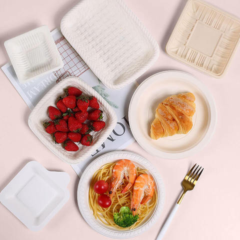Eco Disposable Plates Natural Earth Friendly