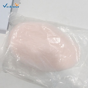 Modelo de Silicona Médica para Entrenamiento de <span class=keywords><strong>Lactancia</strong></span> <span class=keywords><strong>y</strong></span> Forma de Senos Durante la <span class=keywords><strong>Lactancia</strong></span> - Product Image 6