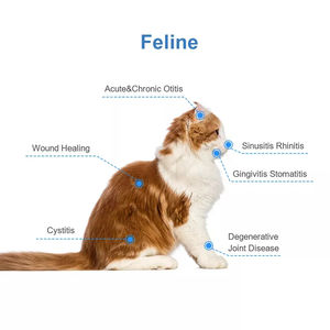 Máquina de Terapia Láser Veterinaria Curelas Clase 4 para la Curación Postoperatoria y la Recuperación de Heridas en Perros - Product Image 6