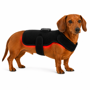 Ceinture de thérapie par lumière rouge pour animaux de compagnie, chiens, chats, chevaux, 660 nm, 850 nm, LED infrarouge, soulagement de la <span class=keywords><strong>douleur</strong></span>, récupération musculaire et <span class=keywords><strong>articulaire</strong></span>, appareil de physiothérapie - Product Image 5