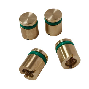 ปลั๊กปิดท่อระบายความร้อนอุณหภูมิสูงแบบ OEM พร้อมแหวนยางวิทัน ปลั๊กปิดท่อแบบไม่มีเกลียว - Product Image 2