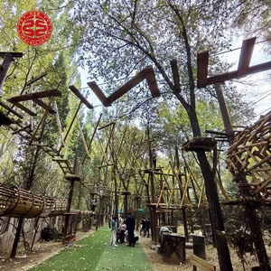 Aérienne Forêt Aventure Treetop Trekking Corde Course Expansion Série Jungle Aventure Escalade Aire De Jeux Équipement - Product Image 6