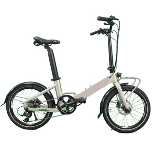 Bicicleta Eléctrica Plegable de Fibra de Carbono de 20 Pulgadas al por Mayor, Bicicleta Eléctrica Ligera con Marco de Fibra de Carbono Plegable - Product Image 1