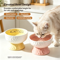 Gamelle surélevée en céramique pour animaux de compagnie – Bol texturé double usage pour nourriture et eau pour chats et petits chiens – Vente en gros