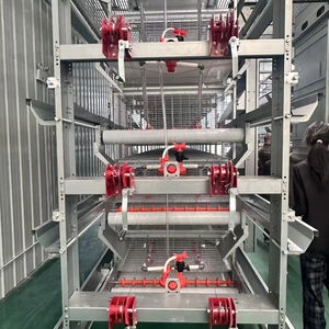 Premium galvanizli çelik H tipi Broiler tavuk kafesi yeni durum verimli hayvancılık tavuk çiftliği ekipmanları - Product Image 2