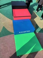 Cajas de Salto Personalizadas con Logotipo para Niños (25 kg) y Adultos (50 kg, 60 kg) de PVC para Fitness y Pilates