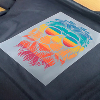 Impression numérique à jet d'encre, transfert DTF prêt à poser, étiquette personnalisée, logo personnalisé, vinyle HTV, plastisol, autocollant de transfert thermique DTF pour t-shirts