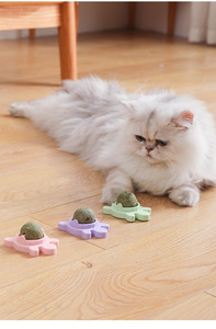 Joypet Pet pet palla di erba gatta lecca e lecca snack per gatti antipasto digestione autointrattenimento materiale per animali in Polygonum - Product Image 4