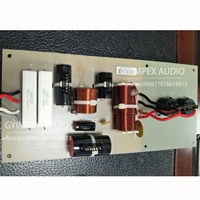 V.Series système de divertissement bidirectionnel haute performance Line Array passif Downfill speaker crossover network line array filter