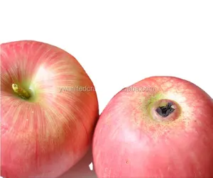Artificial Red Apple Plastic Decorative Fruit Apples