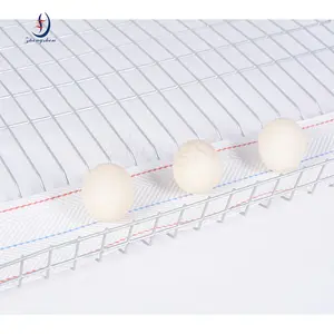 Chinese Manufacturer Chicken Layer Farm Customized Chicken Egg Belt Poultry Egg Collection Conveyor Belt