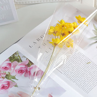 Getrocknete Silberglockenblumen-Stiele Handgefertigte Natürliche Getrocknete Blumen Echte Konservierte Blumen-Arrangements 10 Stiele Muttertag Hochzeit