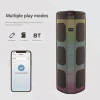 Altavoz Subwoofer para Exteriores V5.2 con Micrófono, 20W, Control Remoto, Construcción de Metal y Plástico, Gran Capacidad, para el Hogar