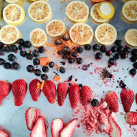 Industriële lyofilisator voor voedsel, groenten en fruit (1-8 kg), mini-vacuümmachine met motor en laag energieverbruik