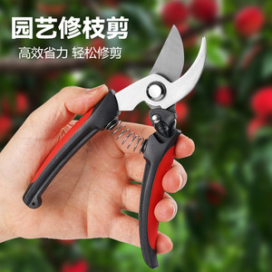 Pinheng Stainless Steel <b>Pruning</b> Shears Bypass Red Manual For Fruit <b>Trees</b> And Bonsai Garden <b>Tools</b> - Product Image 1
