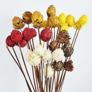 <span class=keywords><strong>Flora</strong></span> — fleurs décoratives d'intérieur pour la maison, vente en gros, motifs de cône de pin sec naturel, fournitures de fleurs pour bouquet, été - Product Image 3