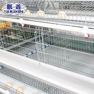 Cina hebei anping shuxin pabrik Broiler anak ayam peralatan peternakan unggas dan sistem pembiakan dengan tangki air